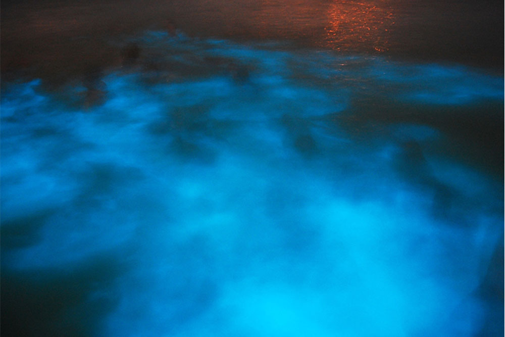 Glistening Waters - Irie Zayne Taxi and Tours Jamaica - www.iriezaynetaxiandtoursjamaica.com - www.IrieZayneTaxiAndToursJamaica.net